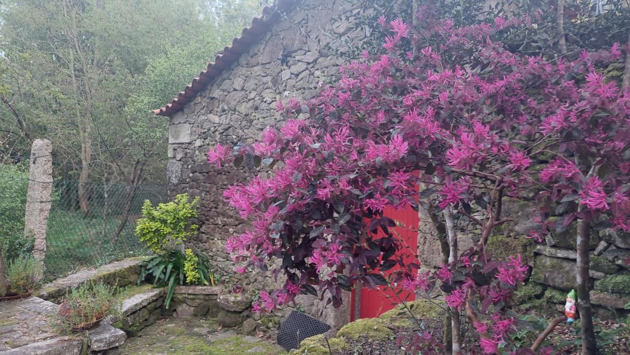 Moinho Do Formigal Apartment วาเลนซา ภายนอก รูปภาพ